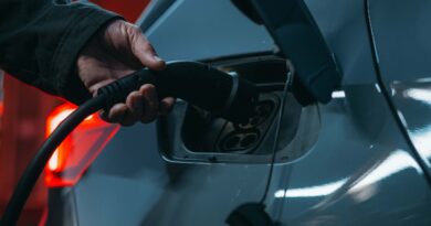 Cupra Born being plugged in to charge