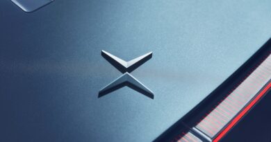 Polestar badge.