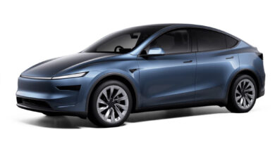 2025 Tesla Model Y