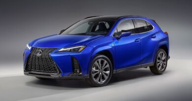 2024 Lexus UX 300e.