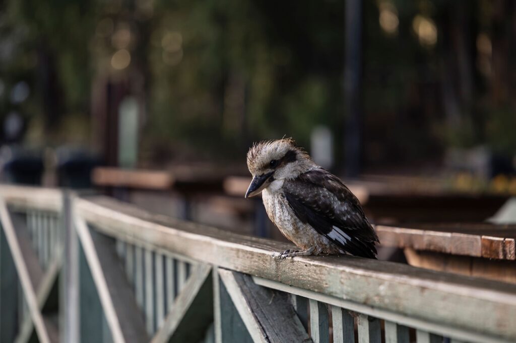 2025 Polestar 3 Long Range.