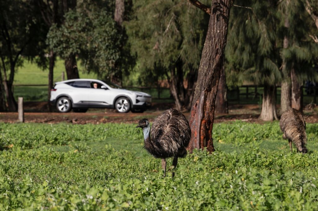2025 Polestar 3 Long Range.