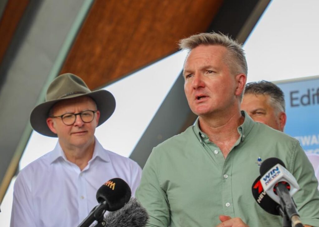 PM Albanese and Energy minister Chris Bowene. Right wing hate figures.
