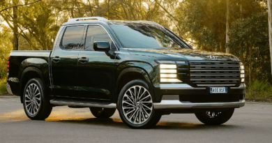 Hyundai dual cab ute. Image by ChatGPT.